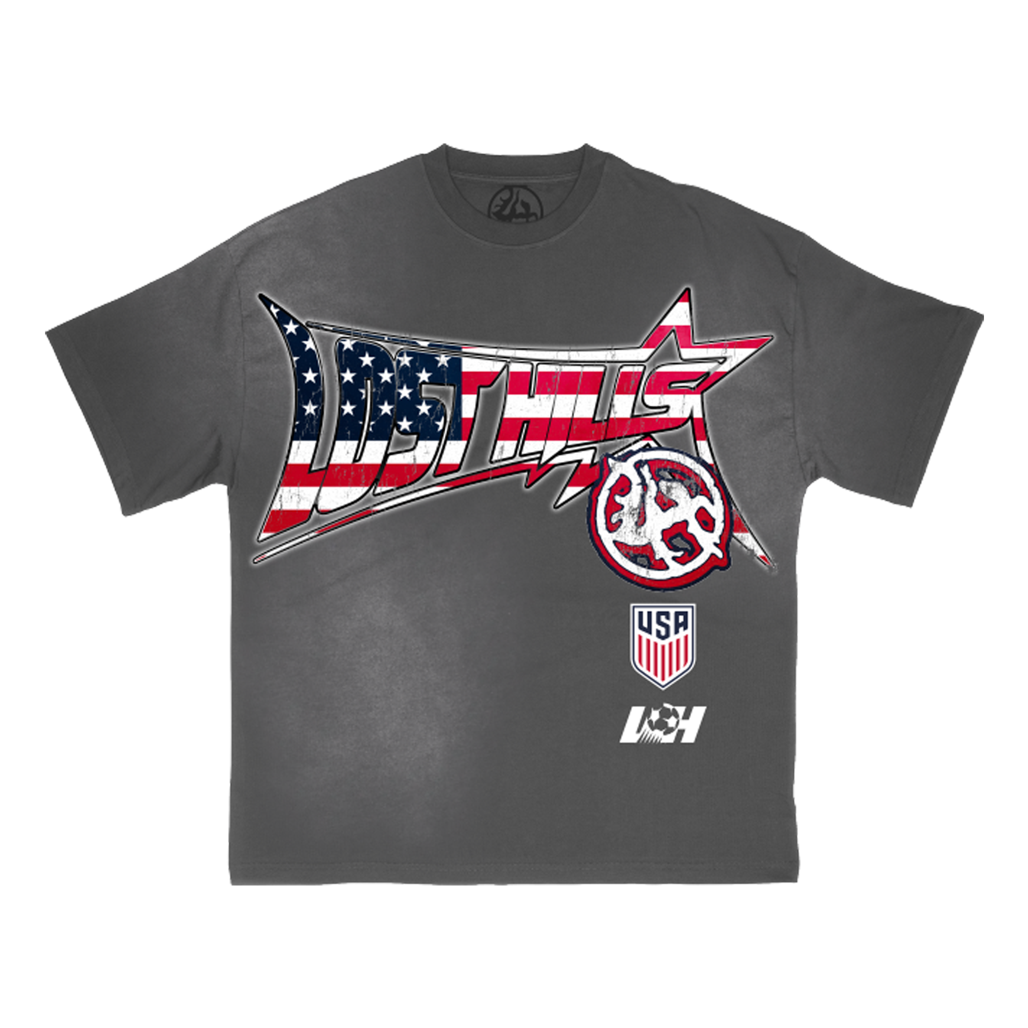 LOSTHILLS USA TEE - WASH